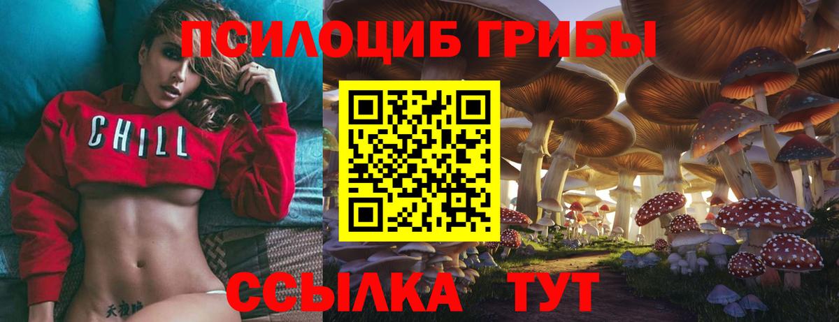 Псилоцибиновые грибы Psilocybe Куйбышев